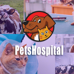 Petshospital – Hospital Management System with Website